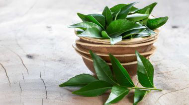 garnishing-instructions-image